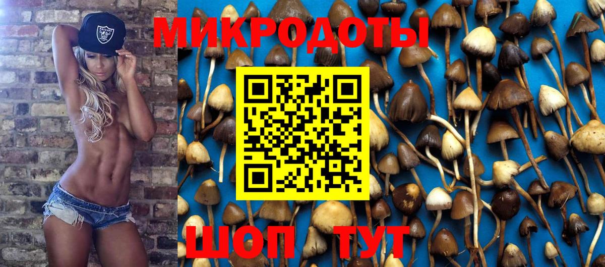 Галлюциногенные грибы MAGIC MUSHROOMS  Вход с VPN  Кинель 