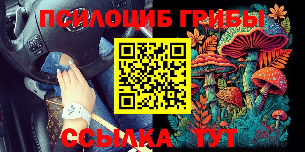 Псилоцибиновые грибы Psilocybine cubensis Кинель