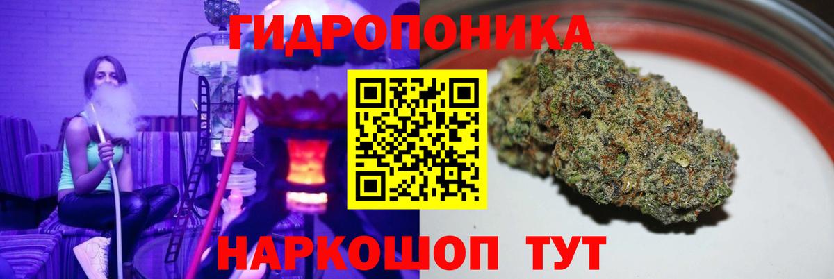 Шишки марихуана гибрид Кинель